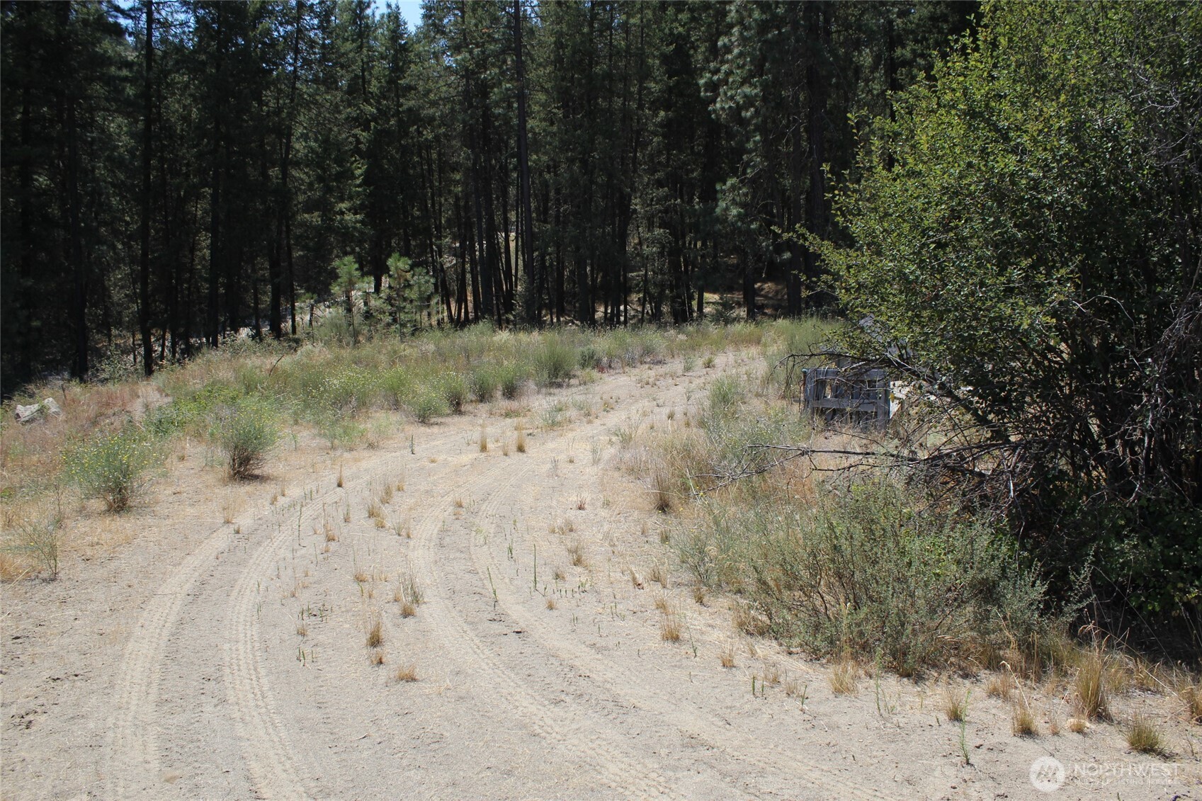 36605 Teel Hill Road North Davenport, WA 99122 - Photo 5 of 10 a view of a dry yard with trees in the background