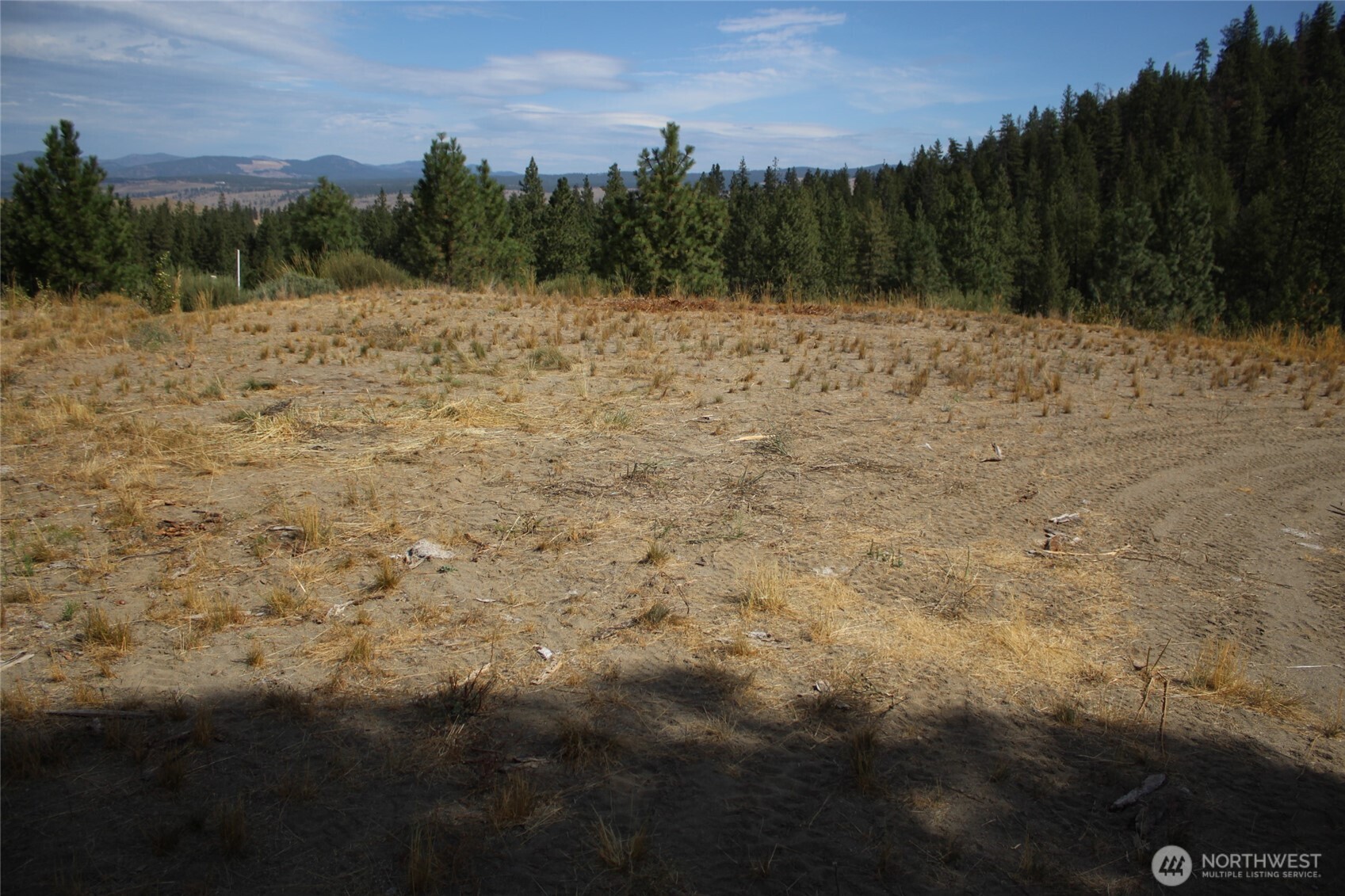 36605 Teel Hill Road North Davenport, WA 99122 - Photo 7 of 10 a view of mountain view with trees