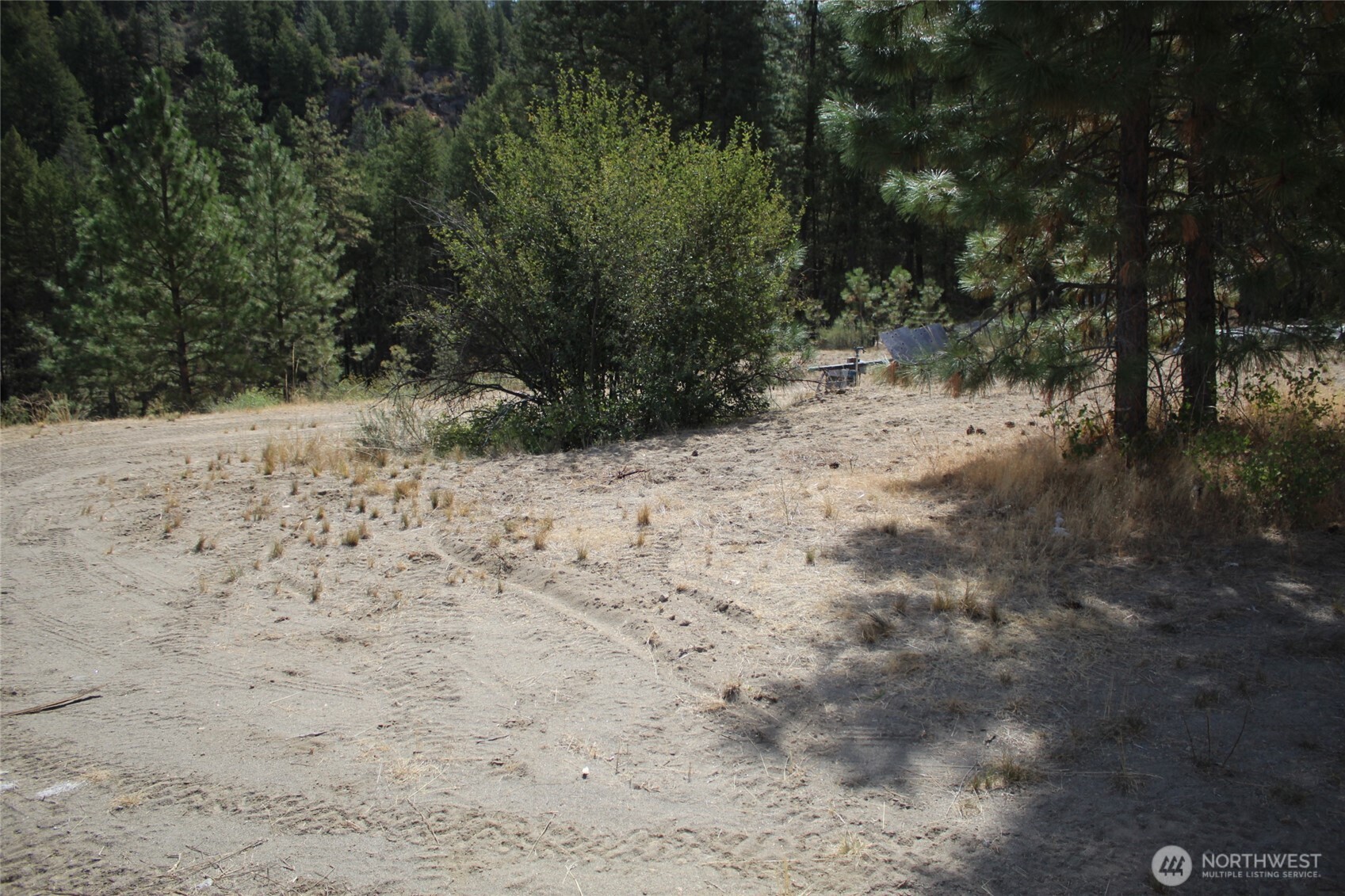 36605 Teel Hill Road North Davenport, WA 99122 - Photo 8 of 10 a view of a yard with a tree
