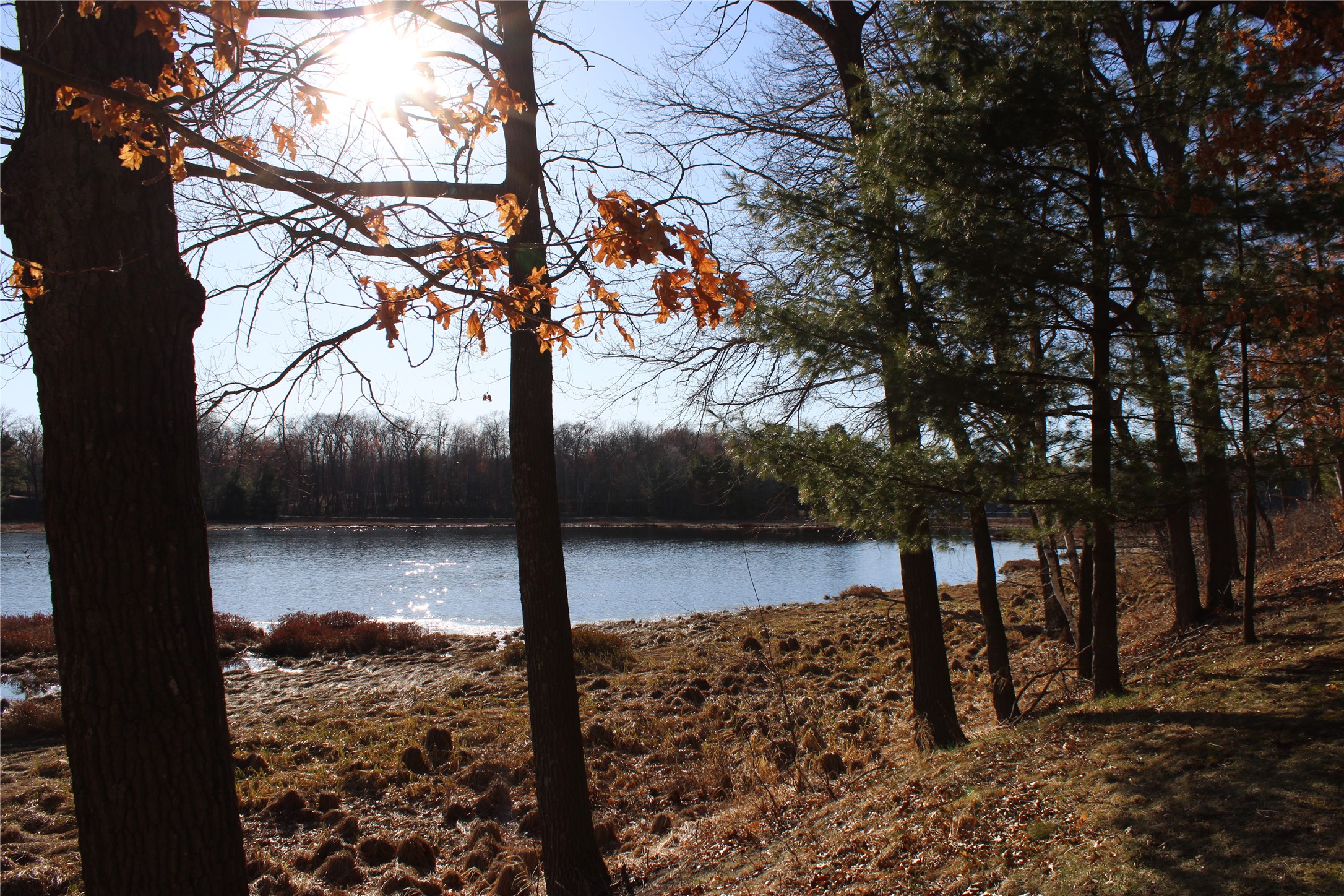 24779 Larrabee Subdivision Road Webster, WI 54893 - Photo 35 of 56