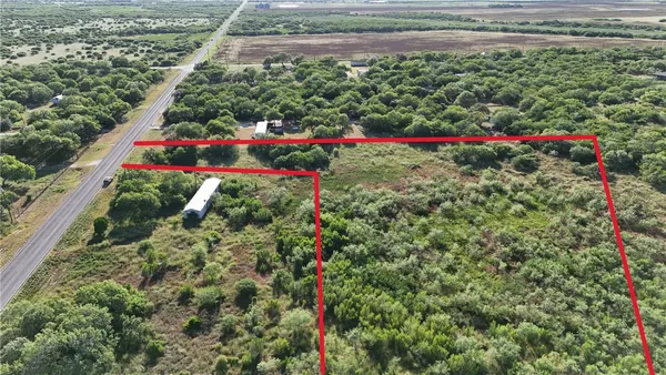 a view of a flower garden