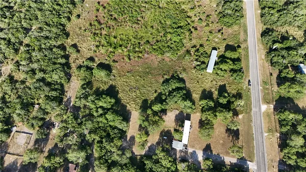 a view of a garden with plants