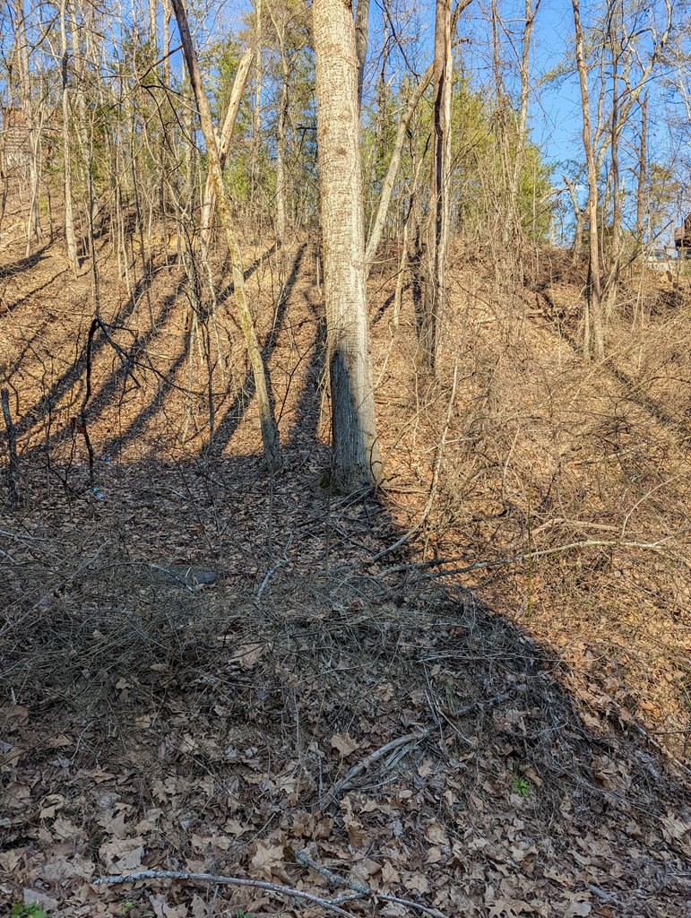 4 Rising Fawn Way Sevierville, TN 37862 - Photo 3 of 4