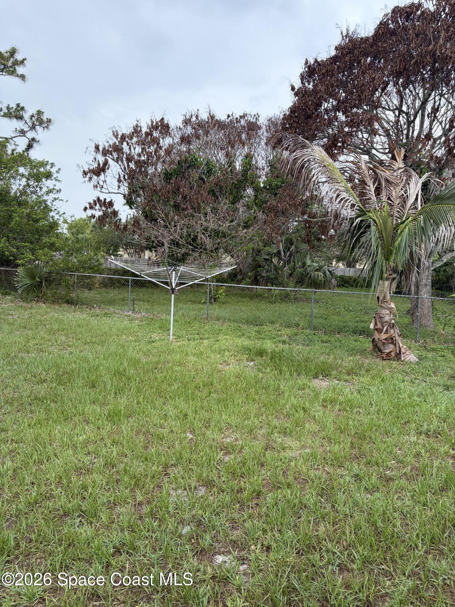 1136 Minnet Court Northeast Palm Bay, FL 32905 - Photo 10 of 31 Back yard 1 - Copy