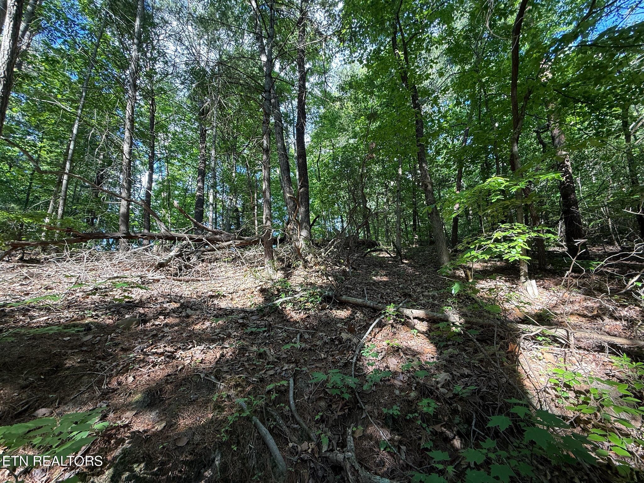 992 Chicken Hollow Road Newport, TN 37821 - Photo 14 of 37 IMG_0107