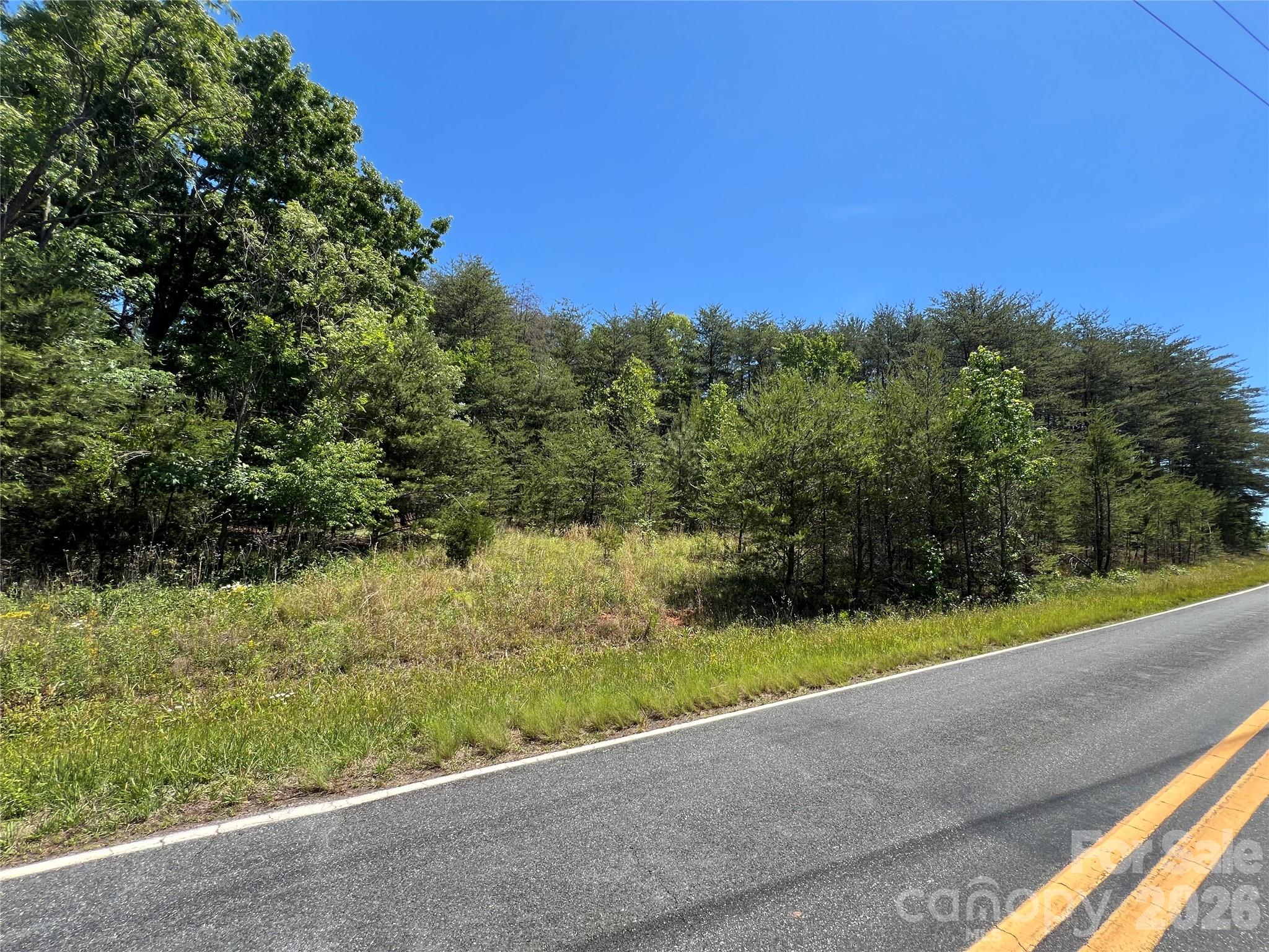 0 Luckadoo Mountain Road, Unit 177 Bostic, NC 28018 - Photo 5 of 11