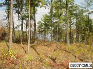 2128 Brandt Road York, SC 29745 - Photo 3 of 6 Gallery Image 3