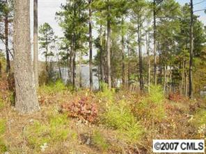 2128 Brandt Road York, SC 29745 - Photo 5 of 6 Gallery Image 5