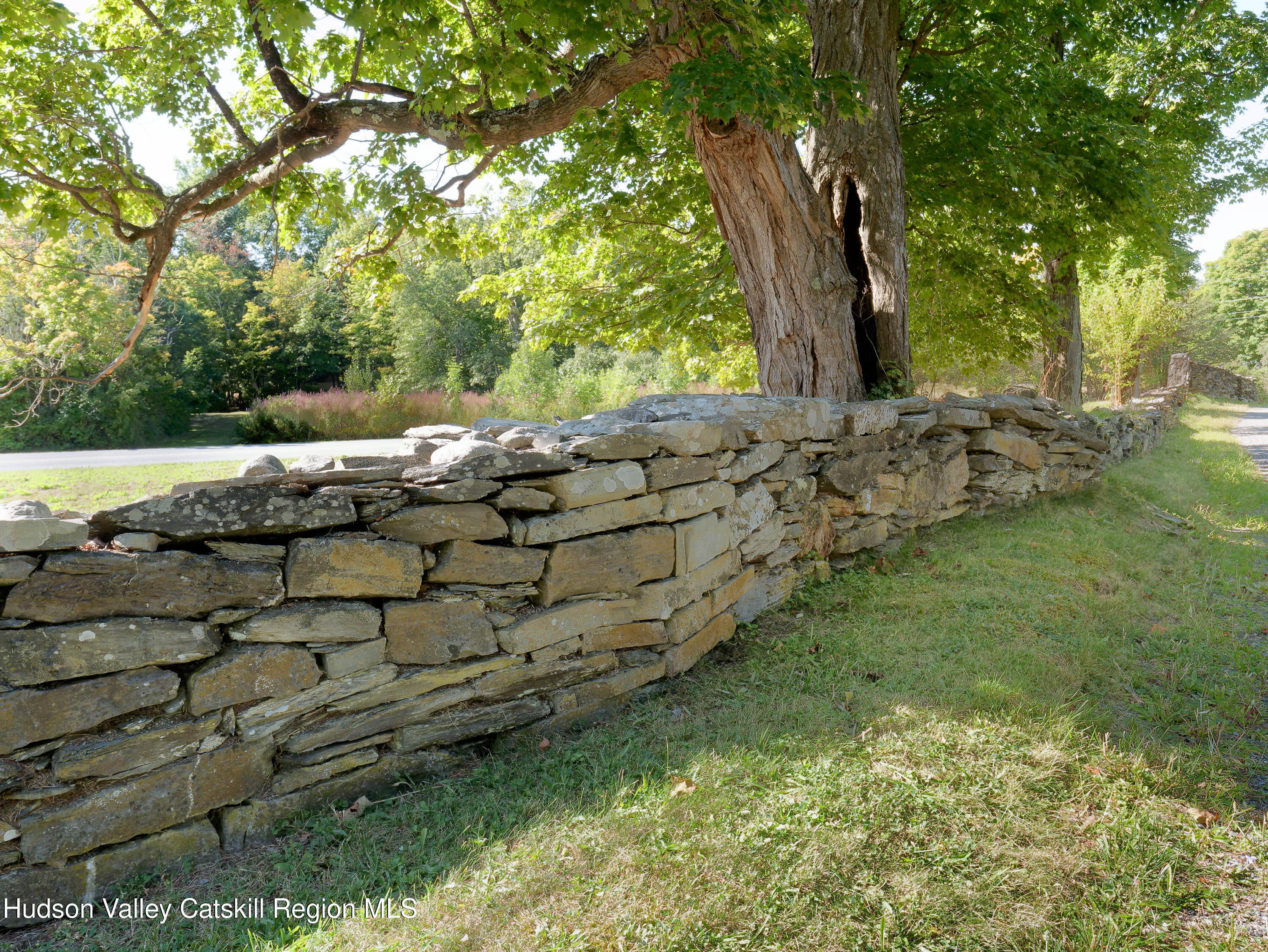5 Fulton Homestead Road Red Hook, NY 12571 - Photo 38 of 41 a garden with lots of trees