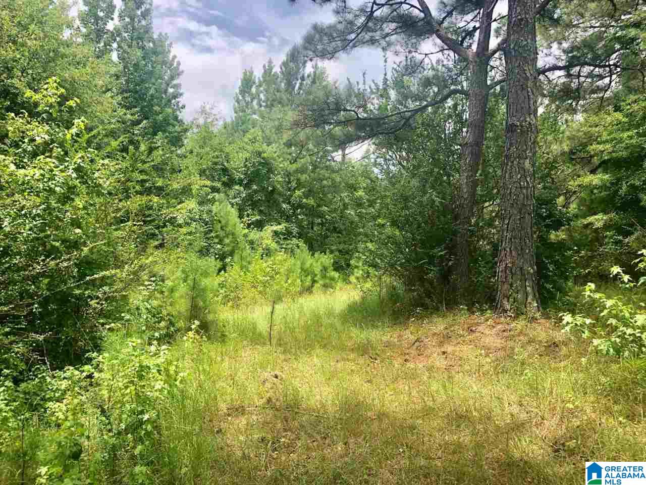 Broken Arrow Road Goodwater, AL 35072 - Photo 27 of 28