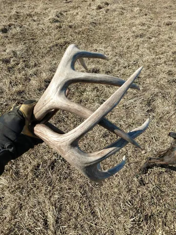 $1,150,000 | 0 County Road 6, La Crescent, MN 55947