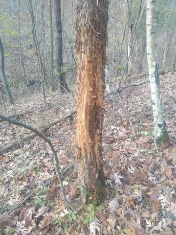 $1,150,000 | 0 County Road 6, La Crescent, MN 55947