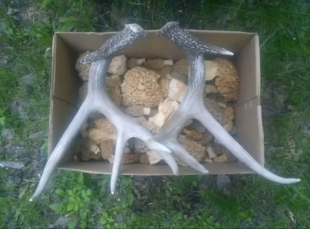 $1,150,000 | 0 County Road 6, La Crescent, MN 55947