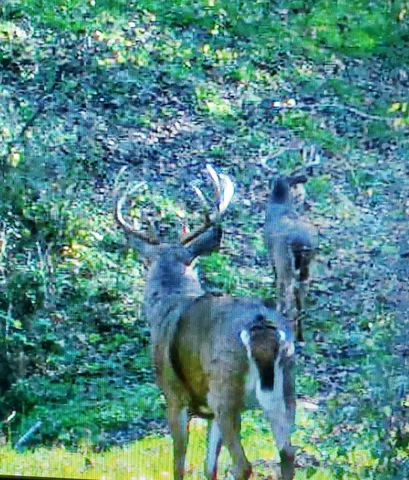 $1,150,000 | 0 County Road 6, La Crescent, MN 55947