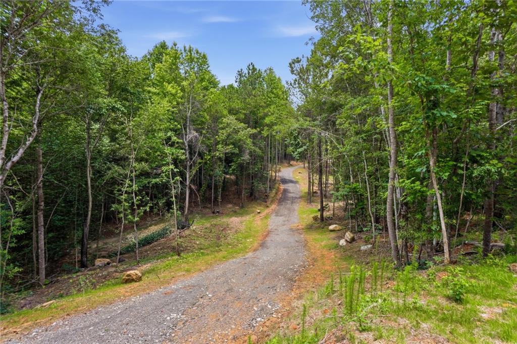 Lot 1 Pete Path Dallas, GA 30157 - Photo 8 of 21