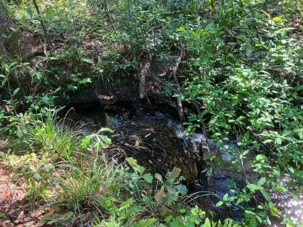 $157,000 | Xx Ridge Road, Monticello, FL 32344