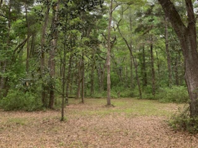 Xx Ridge Road Monticello, FL 32344 - Photo 11 of 19