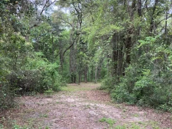 $157,000 | Xx Ridge Road, Monticello, FL 32344