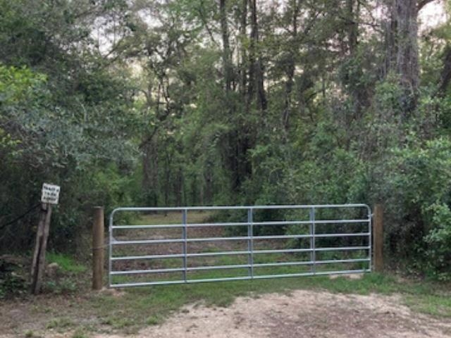 Xx Ridge Road Monticello, FL 32344 - Photo 14 of 19