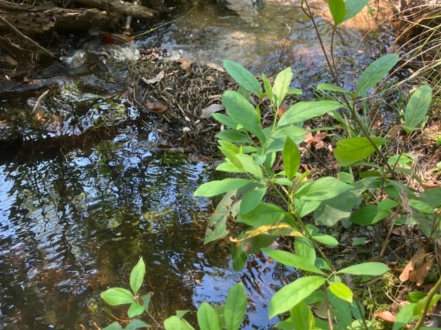 Xx Ridge Road Monticello, FL 32344 - Photo 2 of 19