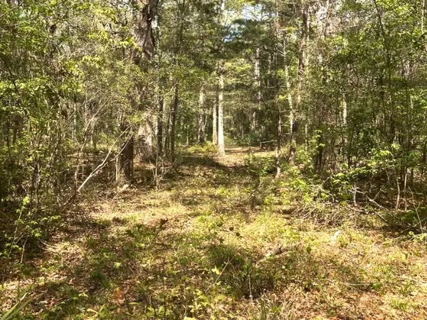 $157,000 | Xx Ridge Road, Monticello, FL 32344