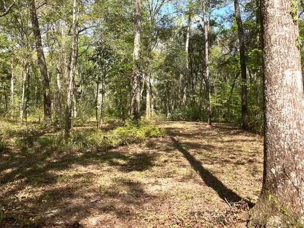 $157,000 | Xx Ridge Road, Monticello, FL 32344