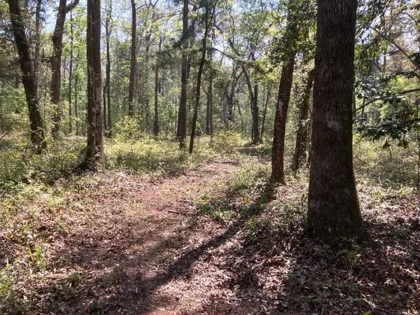 $157,000 | Xx Ridge Road, Monticello, FL 32344