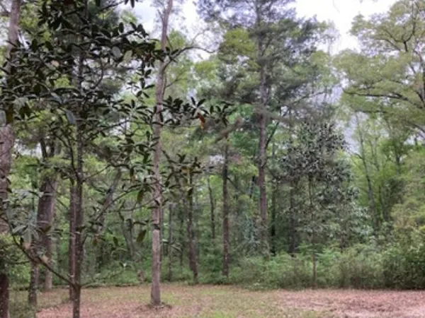 $157,000 | Xx Ridge Road, Monticello, FL 32344