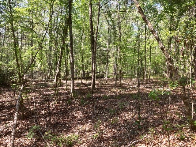 Xx Ridge Road Monticello, FL 32344 - Photo 8 of 19