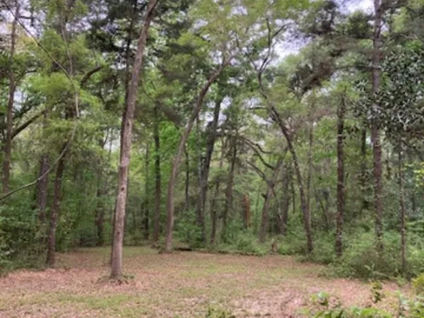 $157,000 | Xx Ridge Road, Monticello, FL 32344