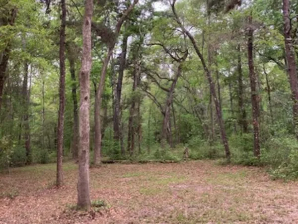 $157,000 | Xx Ridge Road, Monticello, FL 32344