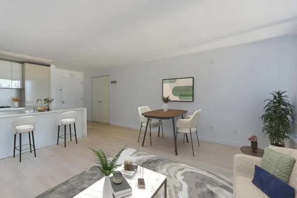 a view of a dining room with furniture and a potted plant