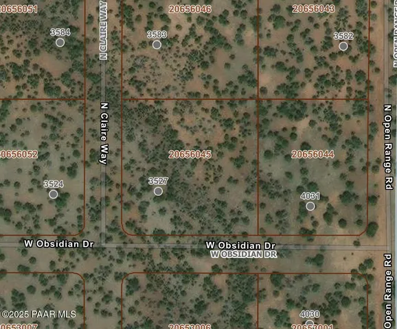 a view of a dry yard