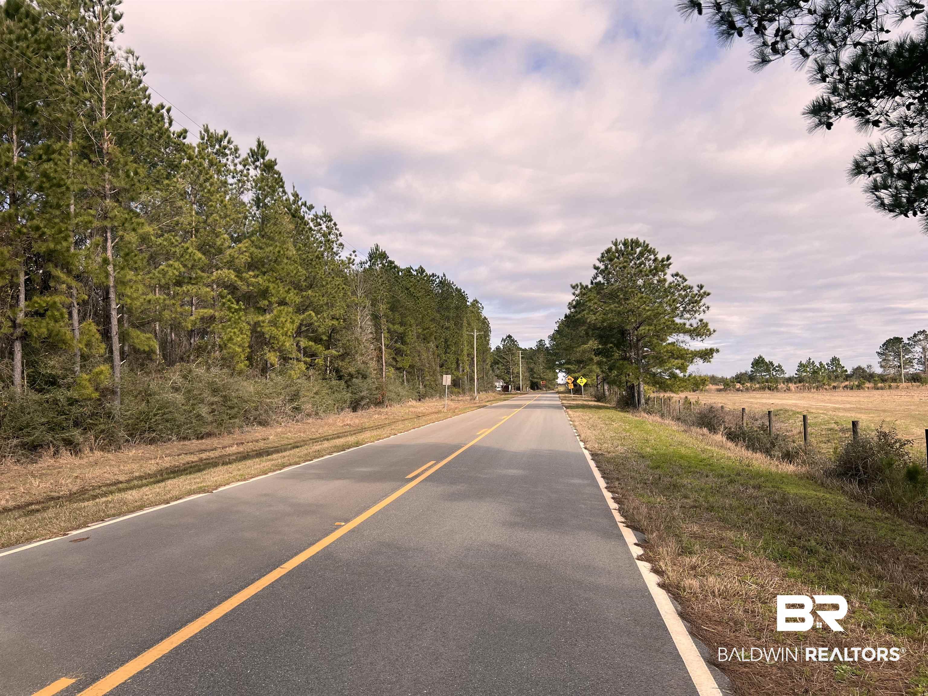 0 Comstock Road Elberta, AL 36530 - Photo 1 of 3 View of street
