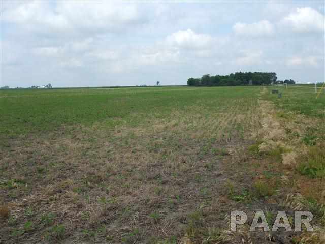 Lot 3 Stringtown Road Minier, IL 61759 - Photo 3 of 6