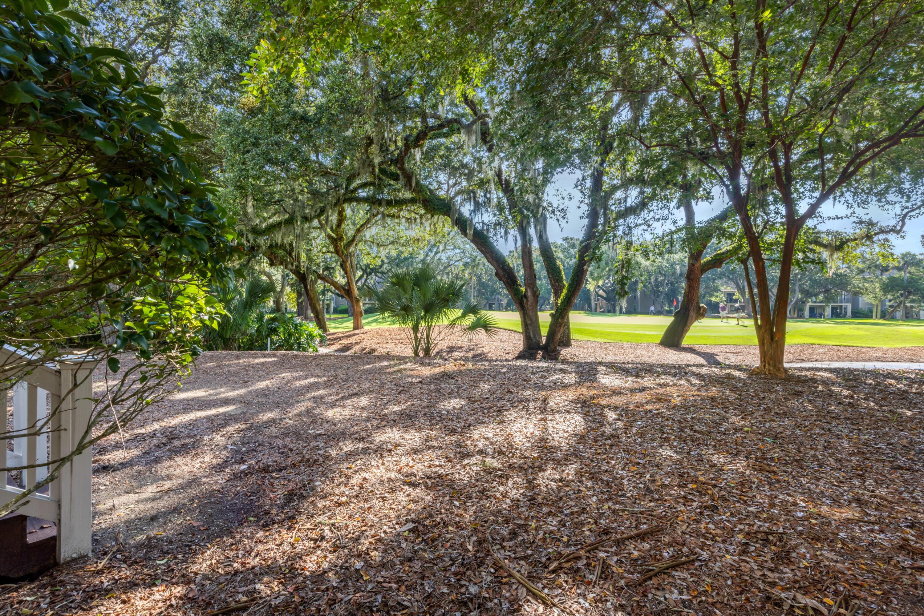 3042 High Hammock Road Seabrook Island, SC 29455 - Photo 8 of 64 139729-CoastalRephoto3042HighHammockVill