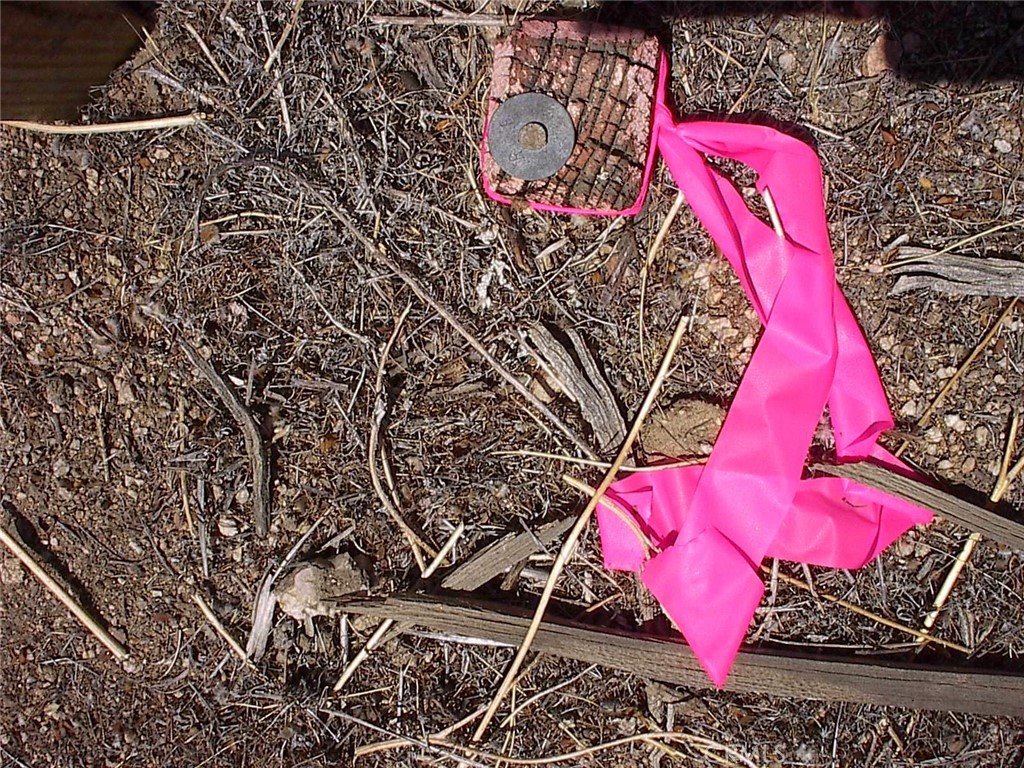 0 Cherry Adelanto, CA 92301 - Photo 22 of 30