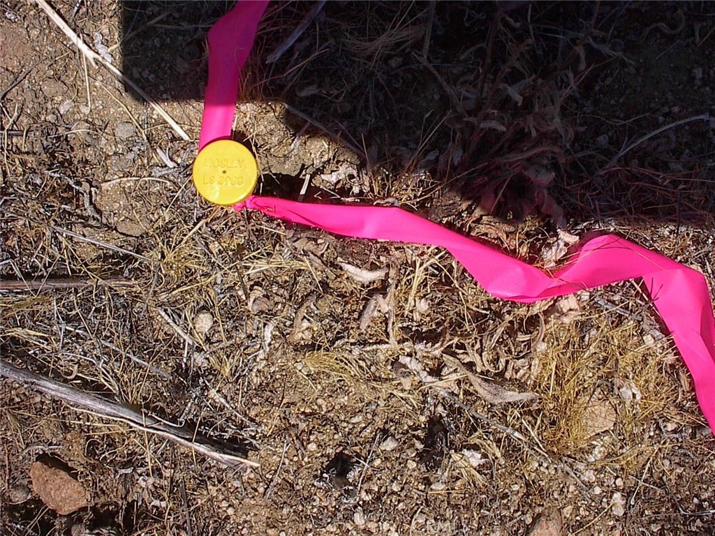 0 Cherry Adelanto, CA 92301 - Photo 10 of 30