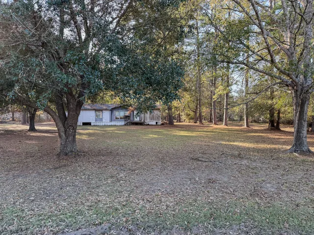 a view of dirt yard with large trees