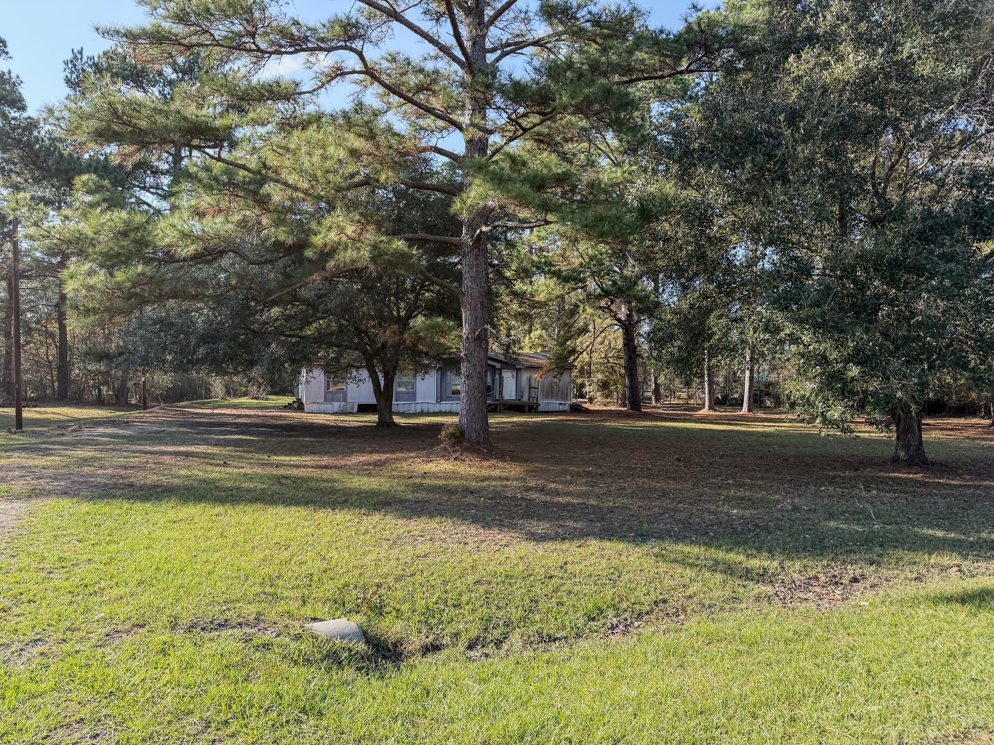 310 County Road 643 Kenefick, TX 77535 - Photo 2 of 13 a view of road with large trees