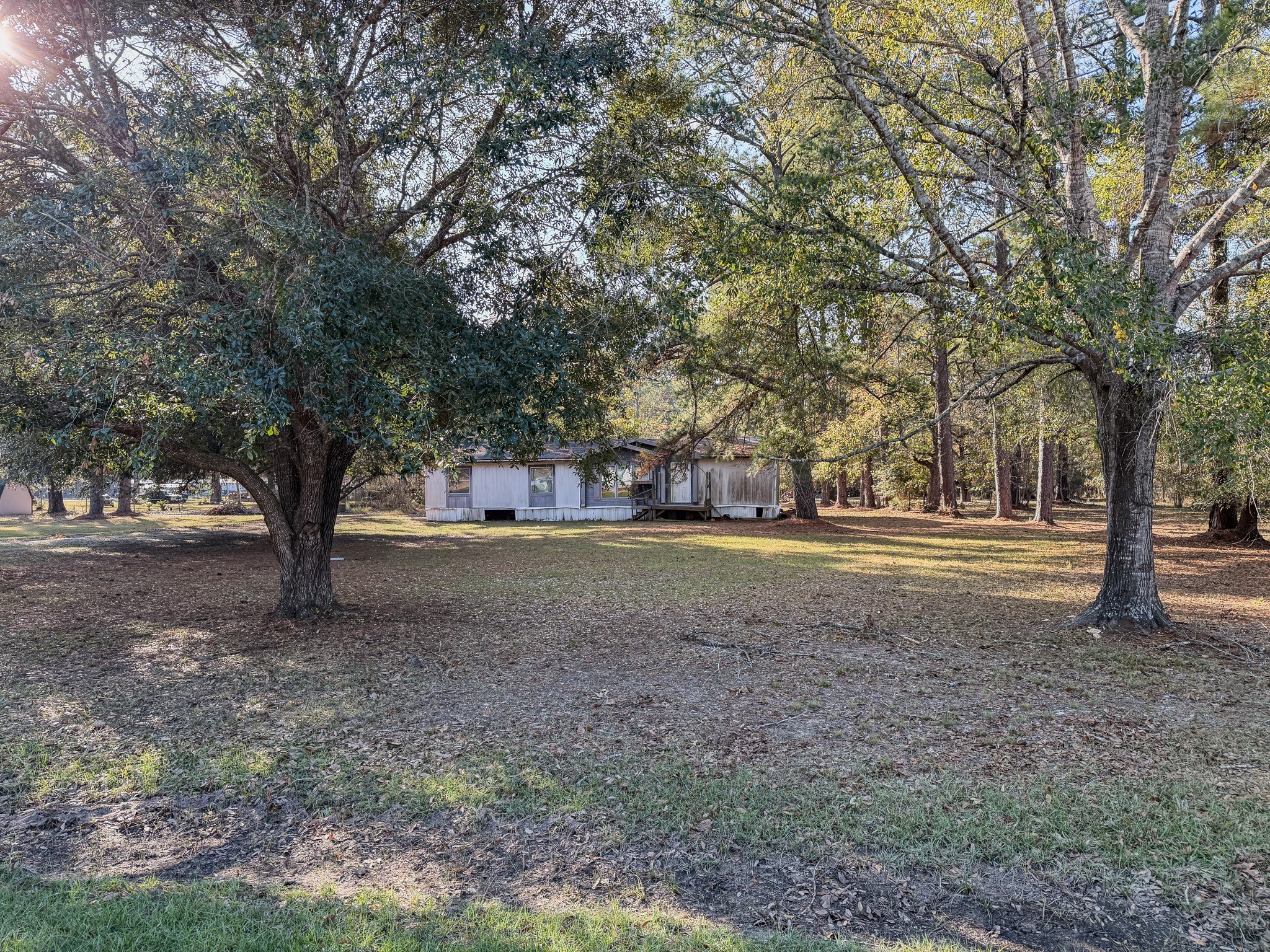 310 County Road 643 Kenefick, TX 77535 - Photo 3 of 13 a view of outdoor space with trees