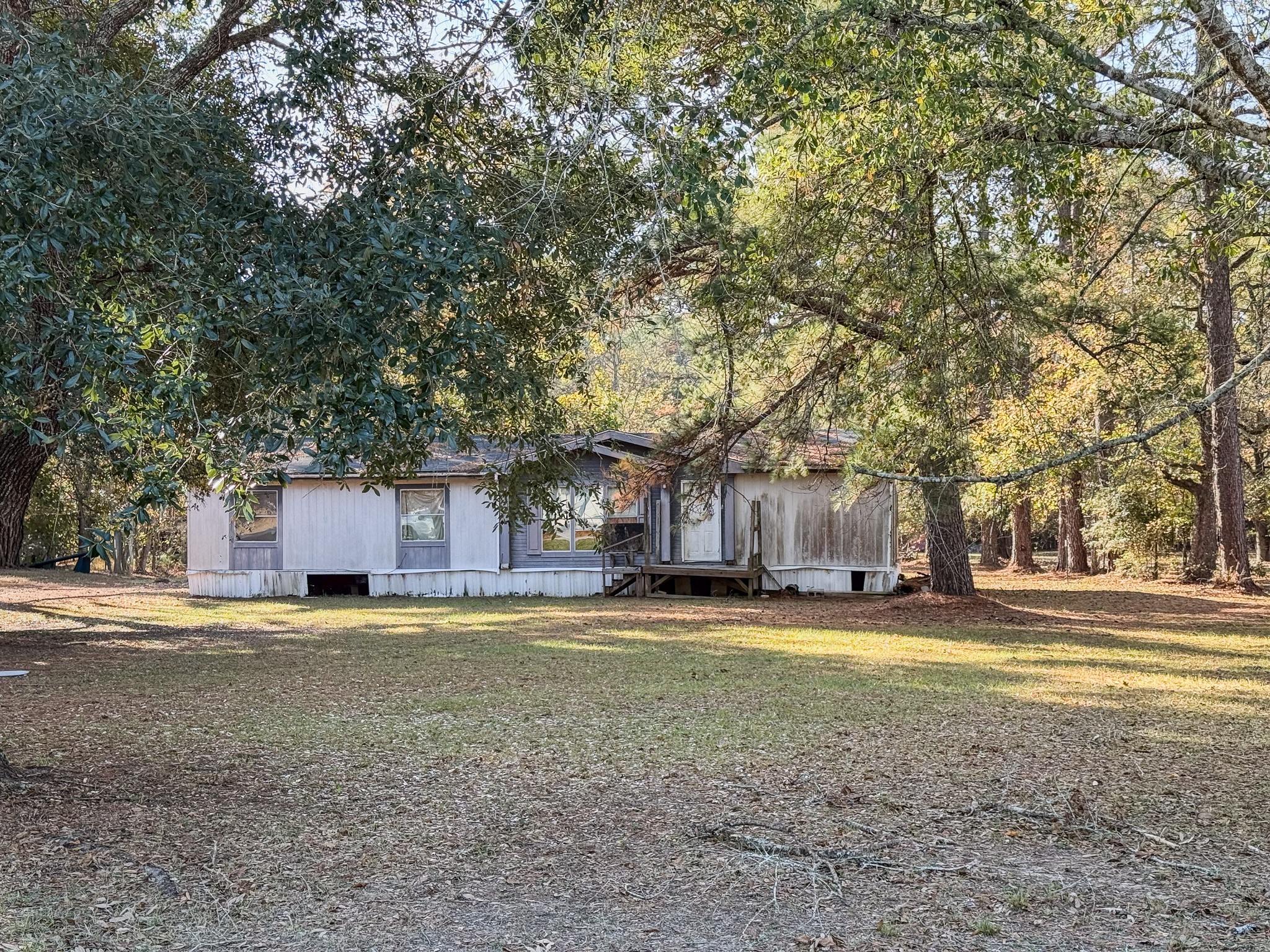 310 County Road 643 Kenefick, TX 77535 - Photo 4 of 13 a view of a house with a yard and large trees