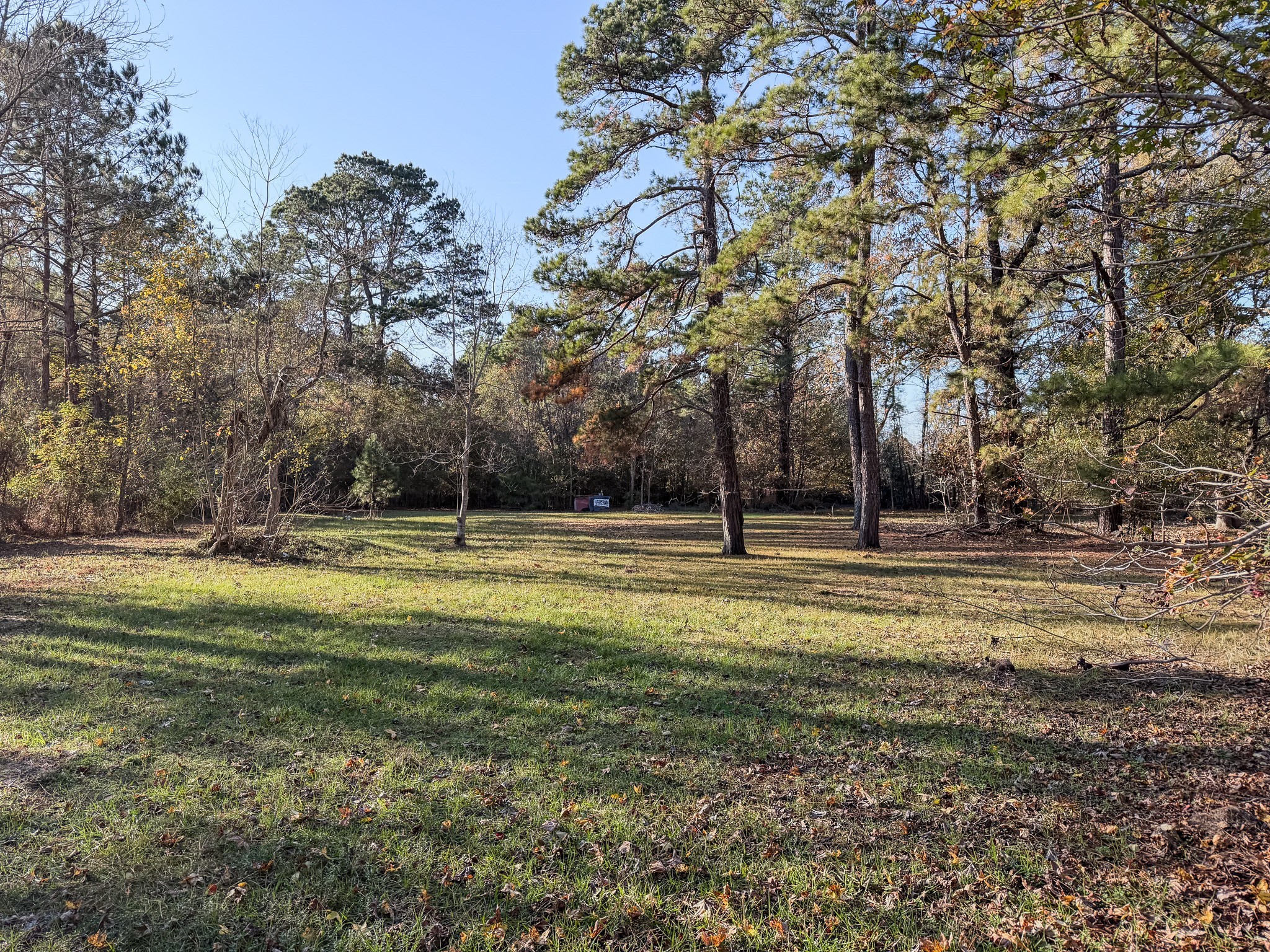 310 County Road 643 Kenefick, TX 77535 - Photo 6 of 13 a view of swimming pool with outdoor seating and trees