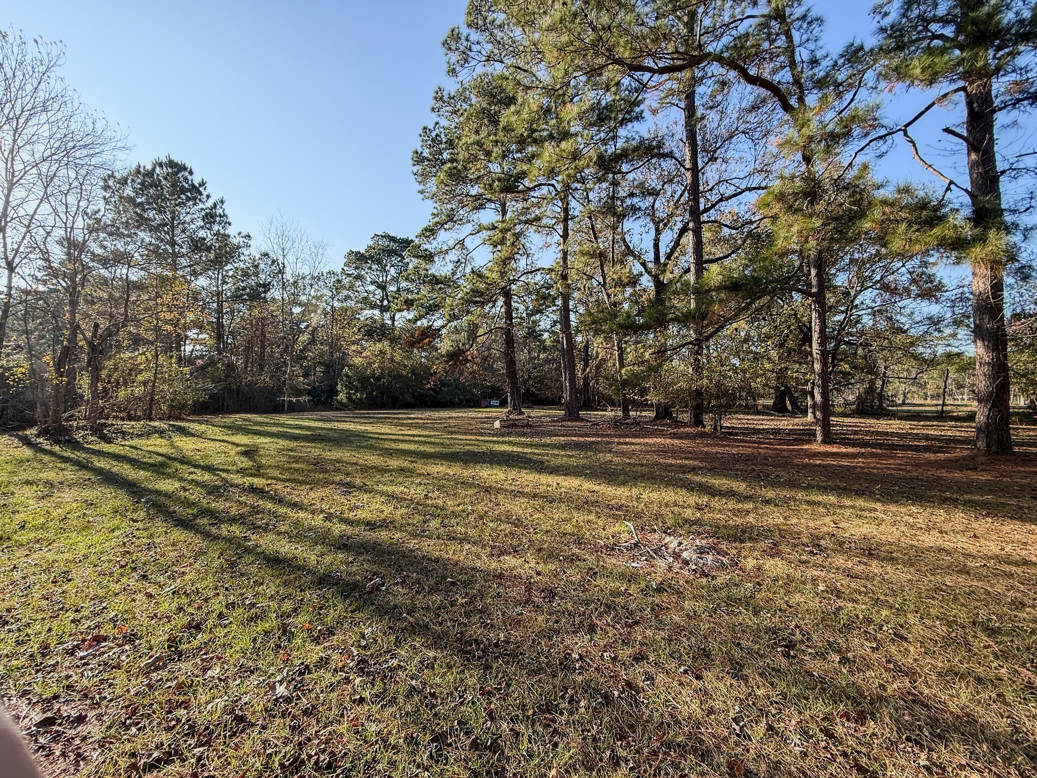310 County Road 643 Kenefick, TX 77535 - Photo 7 of 13 a view of green space