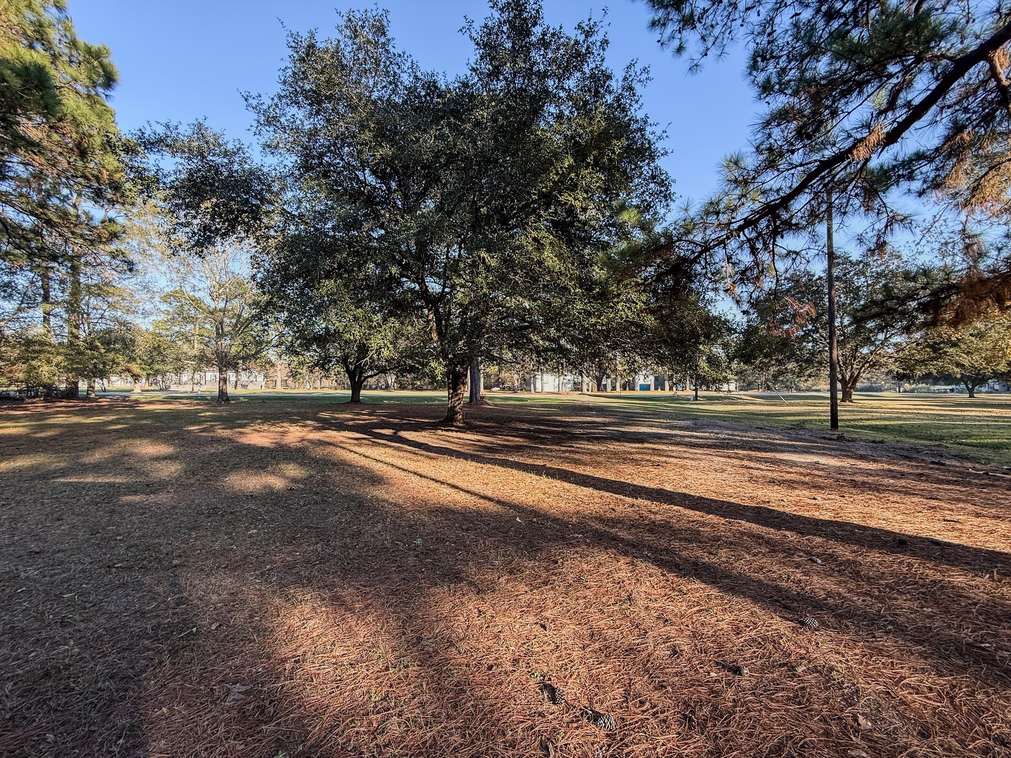 310 County Road 643 Kenefick, TX 77535 - Photo 9 of 13