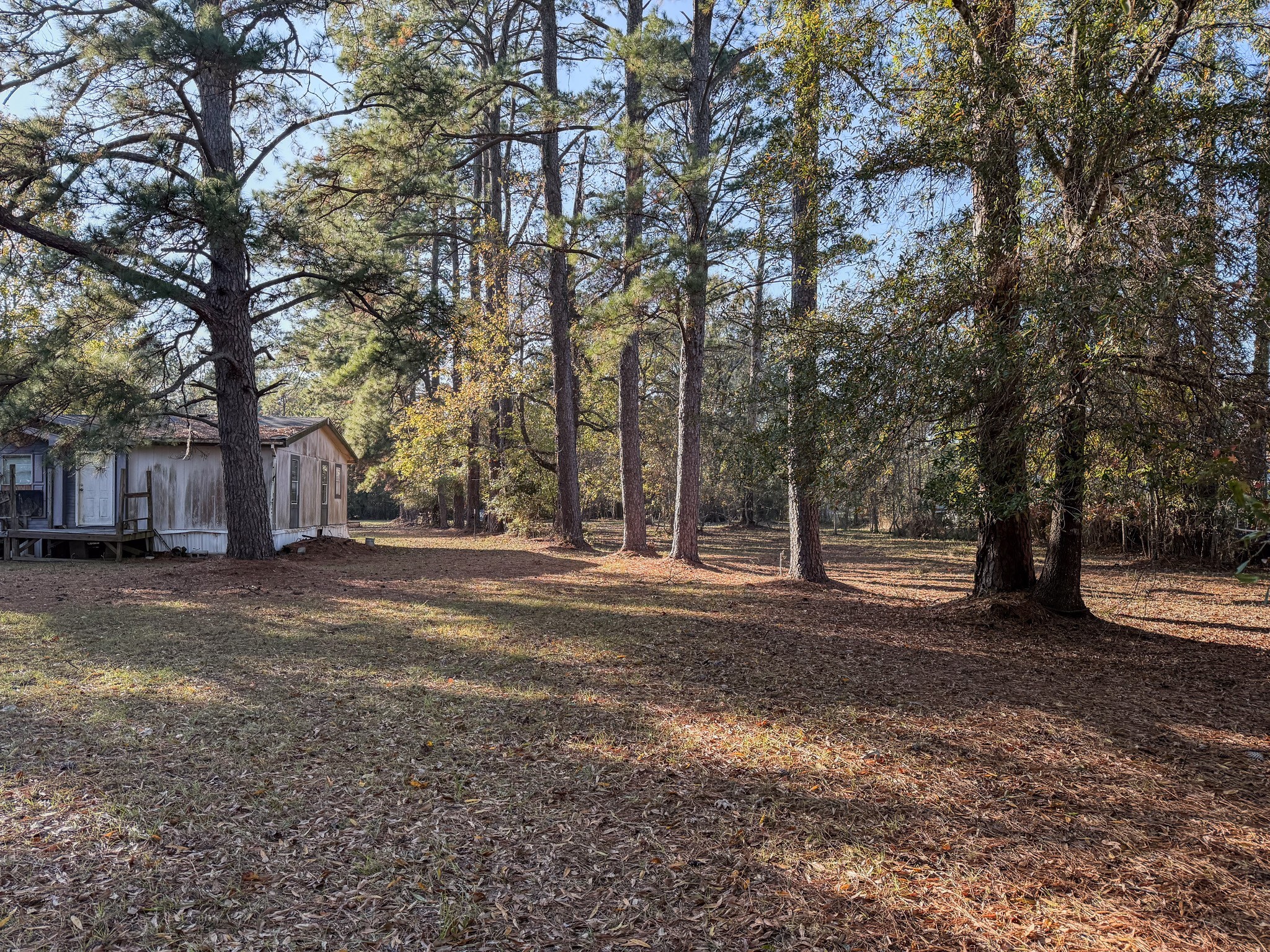 310 County Road 643 Kenefick, TX 77535 - Photo 10 of 13 a view of a yard with a tree