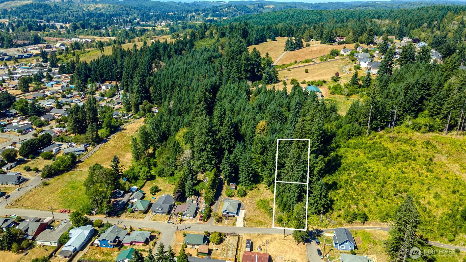 a view of a back yard