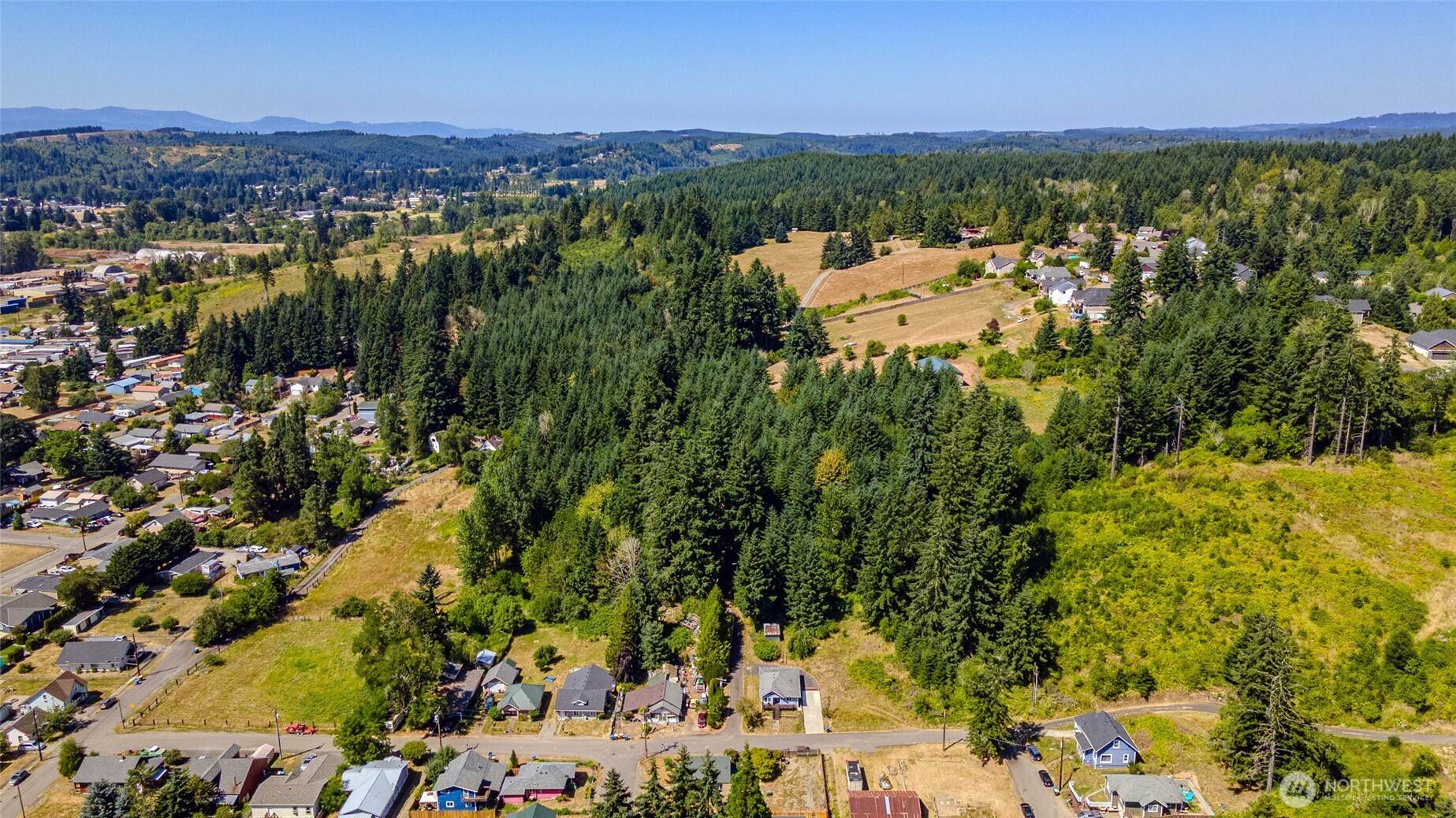 0 Rhobina Street Centralia, WA 98531 - Photo 2 of 9 a view of a city with mountains in the background