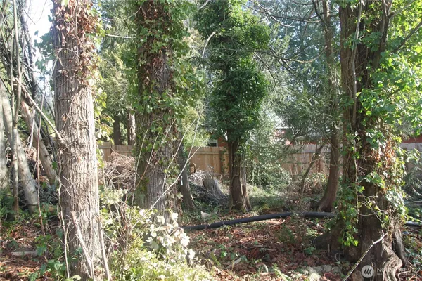 a backyard of a house with lots of trees