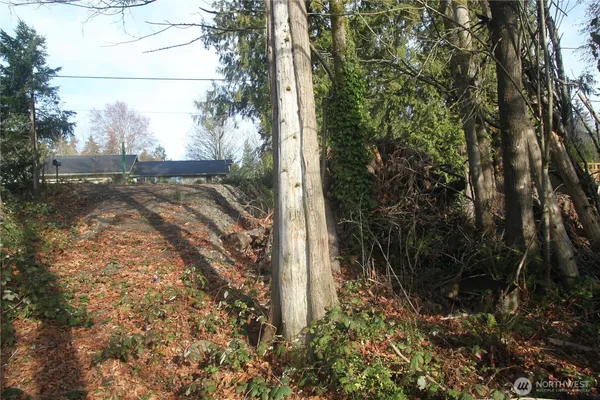 a view of a backyard of the house